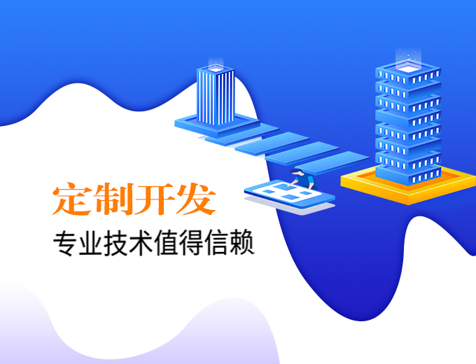 定制化开发解决方案